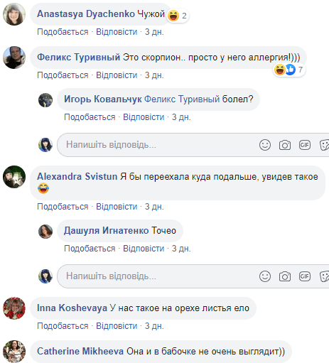 В Каменском дачники обнаружили удивительное существо. Новости Днепра