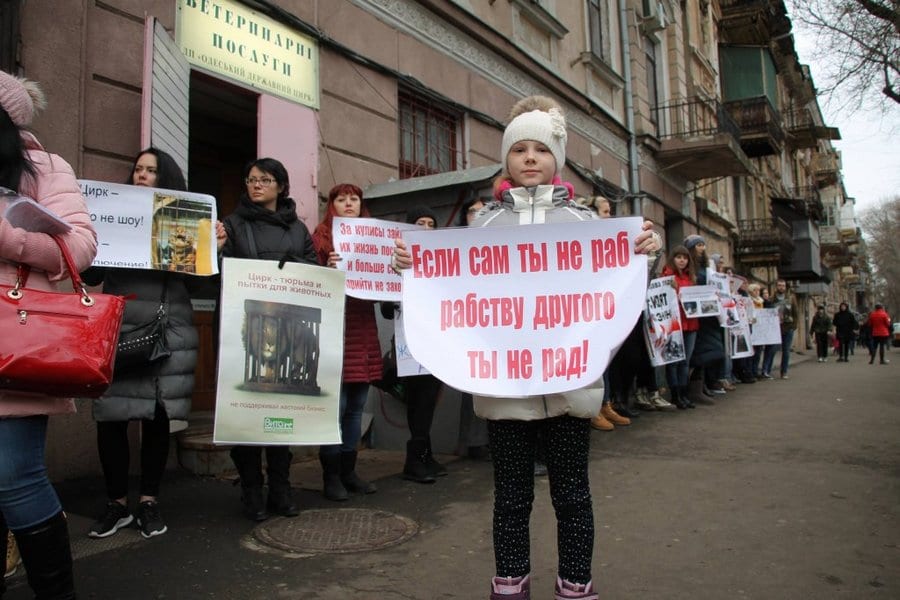 Впервые в стране: суд запретил издевательство над животными в цирке