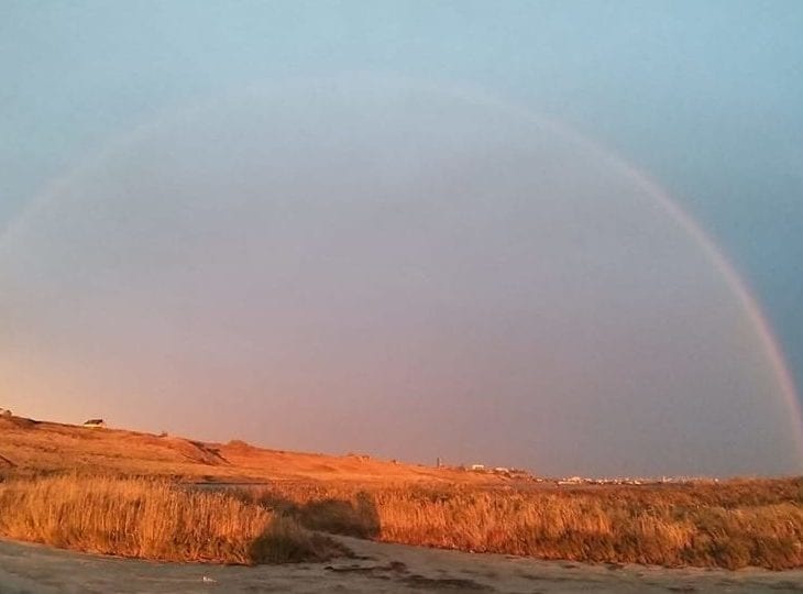 Отдых на Азовском море удивил даже местных: такого чуда не было давно (Фото). Новости Днепра