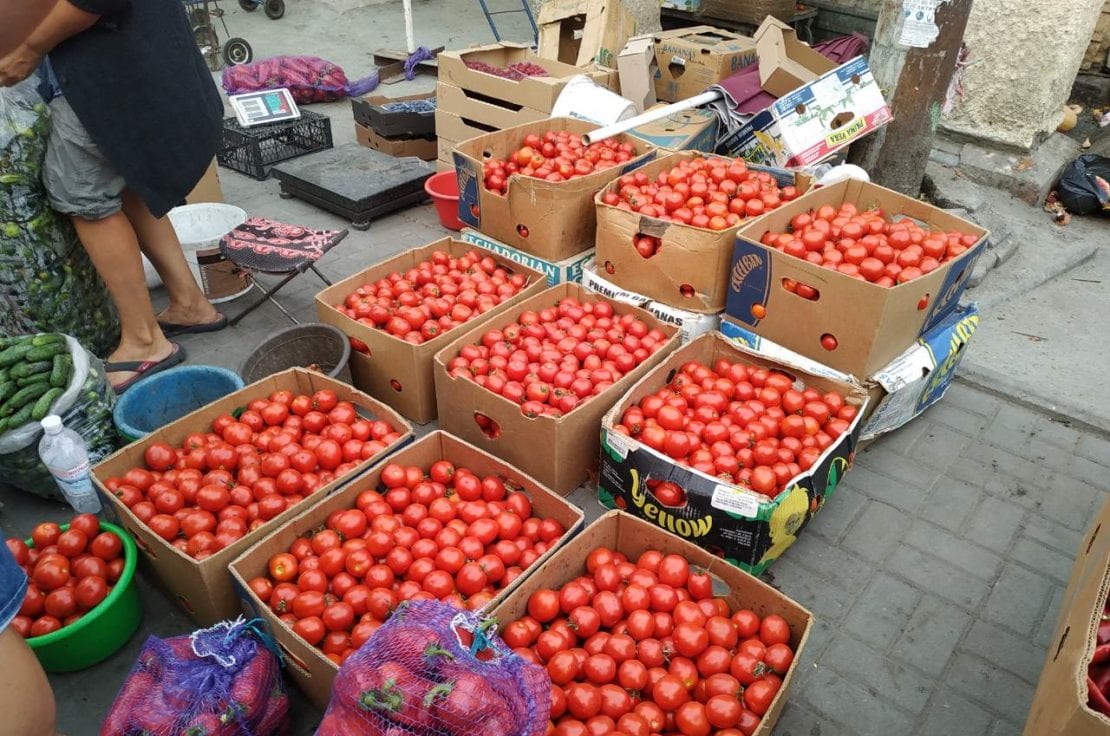 В Днепре резко подешевели помидоры: цены удивляют. Новости Днепра