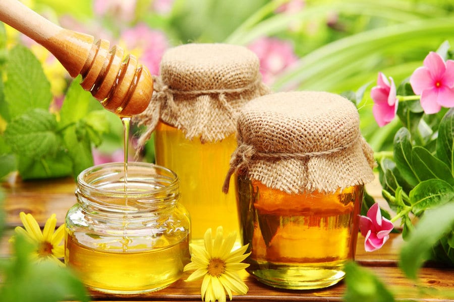 Сладкое лекарство: какой мед принимать при разных болезнях. Новости Днепра