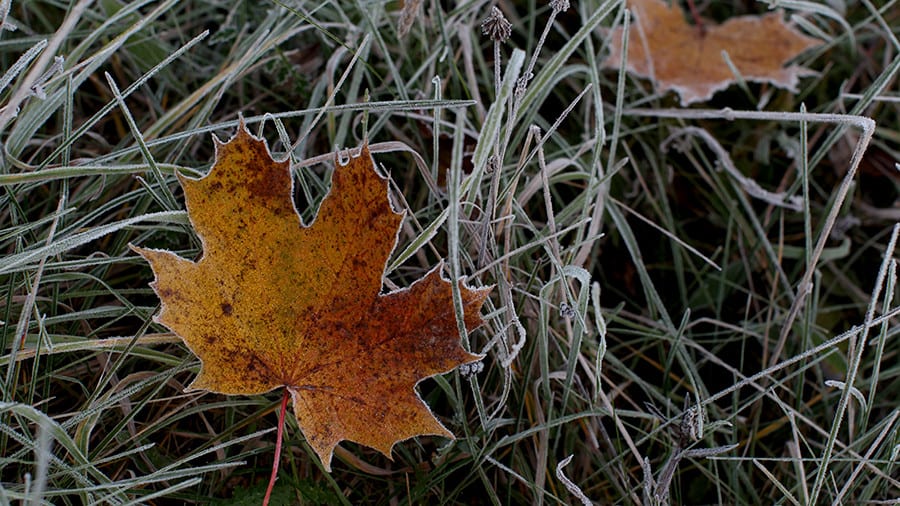 Прогноз погоды на осень: резкое похолодание и ранние заморозки. Новости Днепра