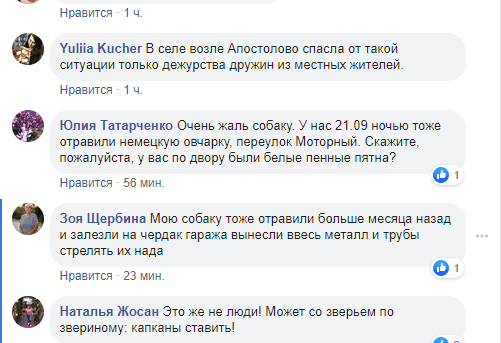 В Днепре в частном секторе травят собак: жители бьют тревогу. Новости Днепра