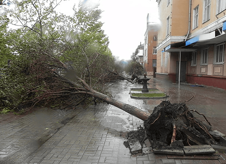 Ураган на Азовском море: в Бердянске вспоминают стихийной бедствие 5-летней давности. Новости Днепра