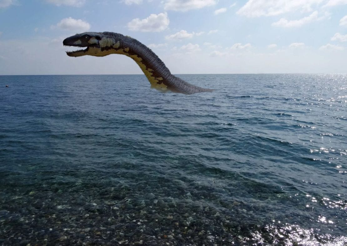 Черное море завораживает своими обитателями: удивительная подводная съемка. Новости Днепра
