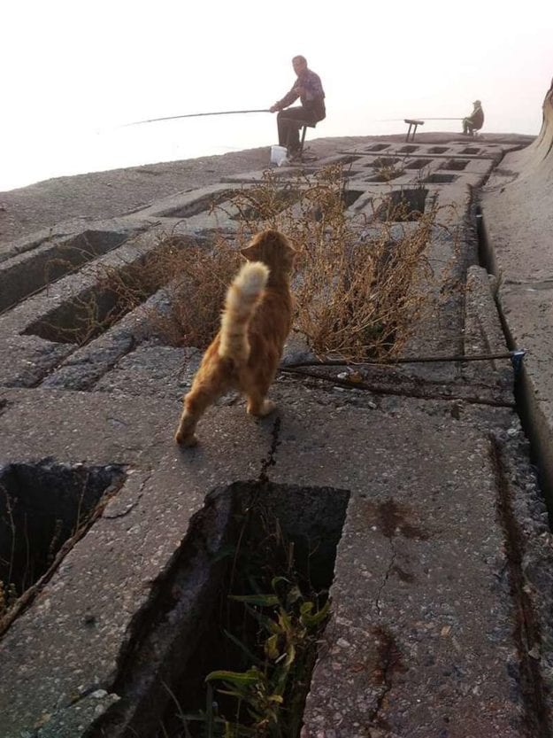 Азовское море в октябре удивляет чудесами природы: поражены даже местные жители (Фото). Новости Днепра