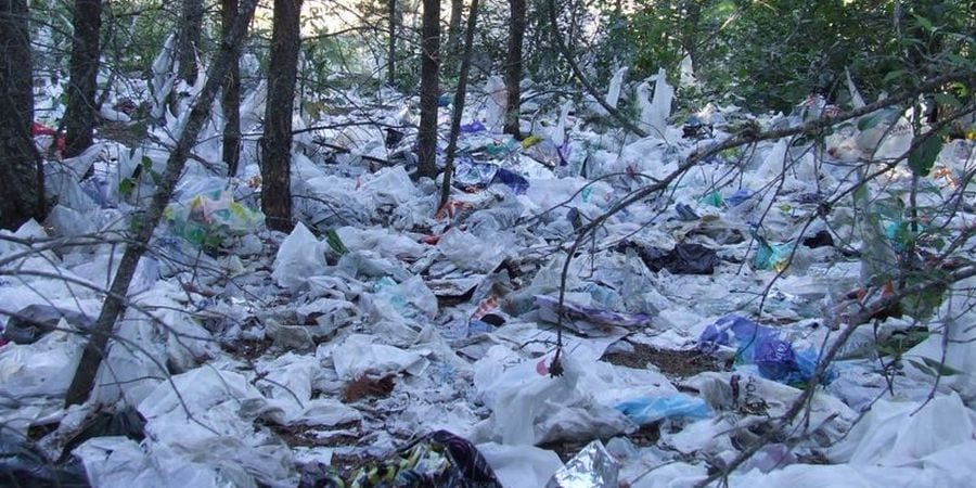 В Украине запретят пластиковые пакеты: нарушителей ждут огромные штрафы. Новости Днепра
