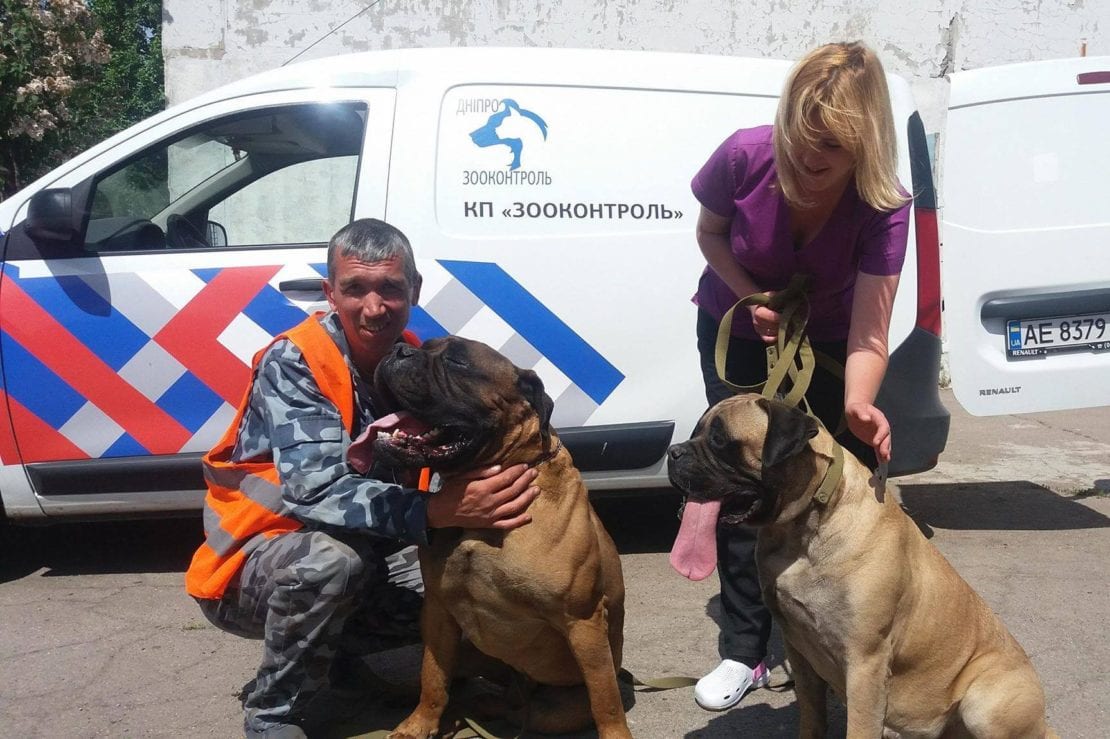 В Днепре на улицу выбрасывают собак ценой в десятки тысяч гривен. Новости Днепра