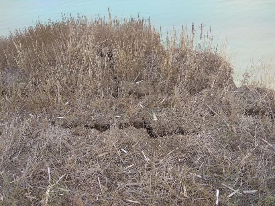 Азовское море «съедает» берег: ушло сотни гектаров плодородного чернозема (Фото). Новости Днепра