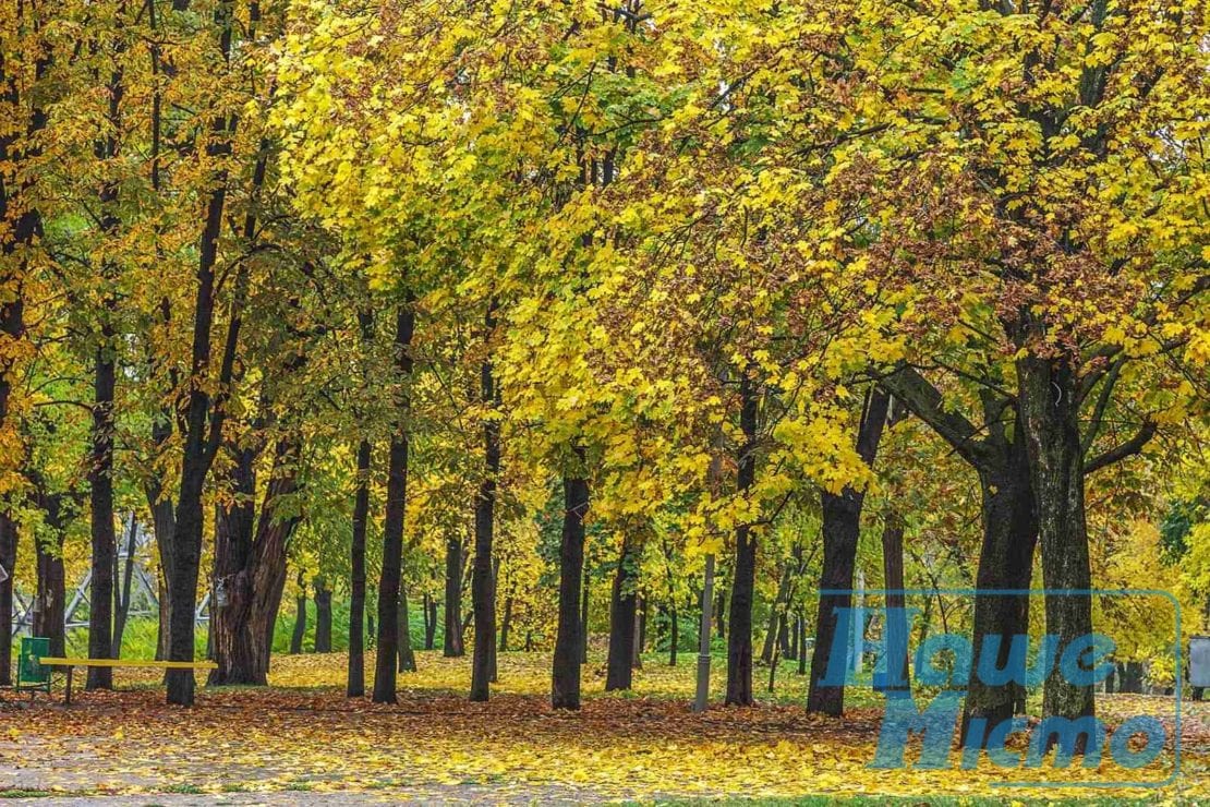 В Днепре наступила сказочная осень: пейзажи неописуемые (Фоторепортаж). Новости Днепра