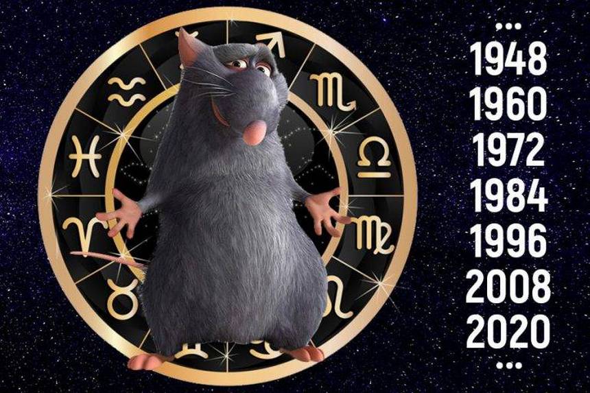 Гороскоп на 2020 год: что принесет Крыса каждому знаку зодиака. Новости Днепра