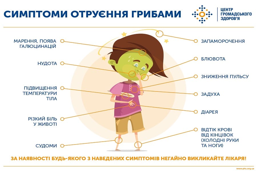 Количество пострадавших от грибов растет: как уберечься от отравления. Новости Днепра