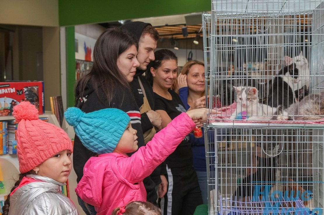 В Днепре в Дафи бесплатно раздавали котов (ФОТОРЕПОРТАЖ).. Новости Днепра