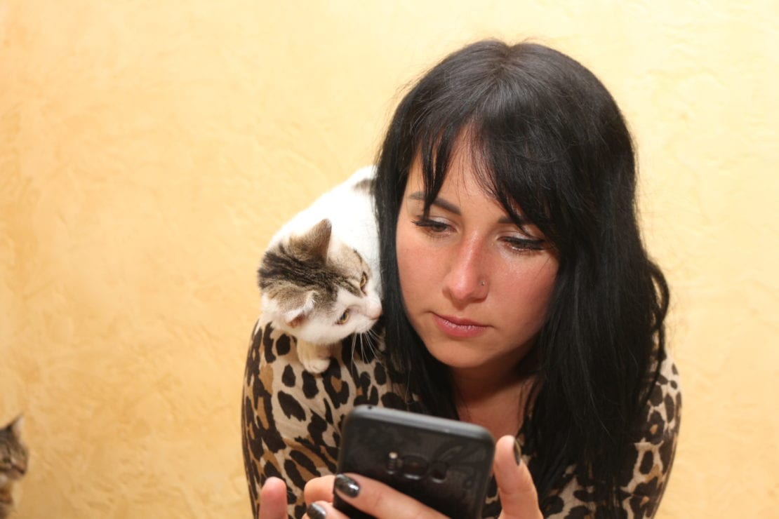 Мать котов из Днепра: о нечестных волонтерах, животных и планах на будущее. Новости Днепра