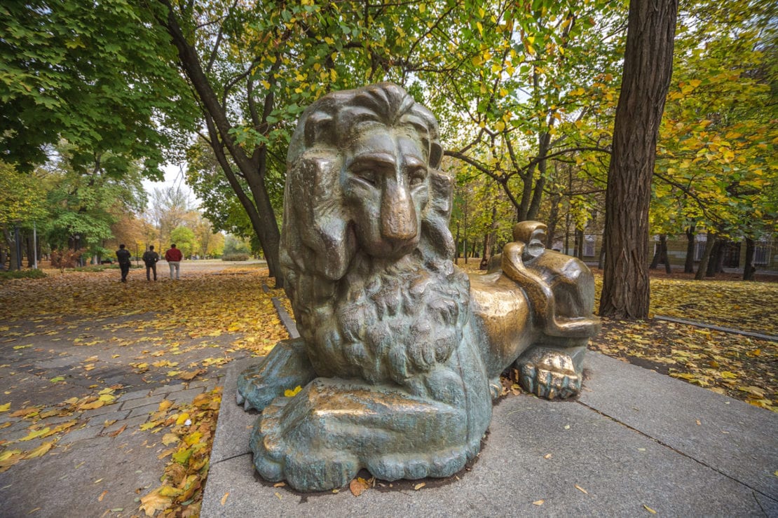 Осень в Днепре: парк Шевченко чарует красками (Фото). Новости Днепра