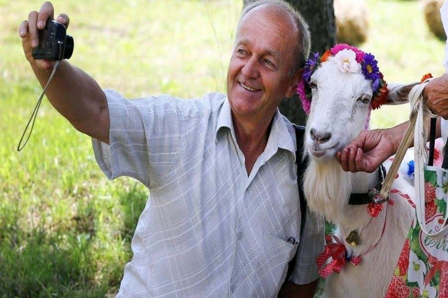Под Днепром в конкурсе красоты победила коза. Новости Днепра