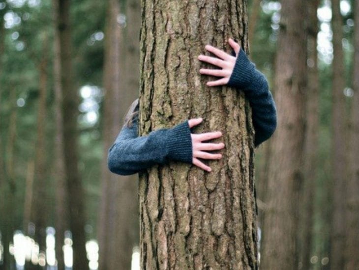 Полез на дерево за "добычей": под Днепром спасали 11-летнего горе-грибника (Фото). Новости Днепра