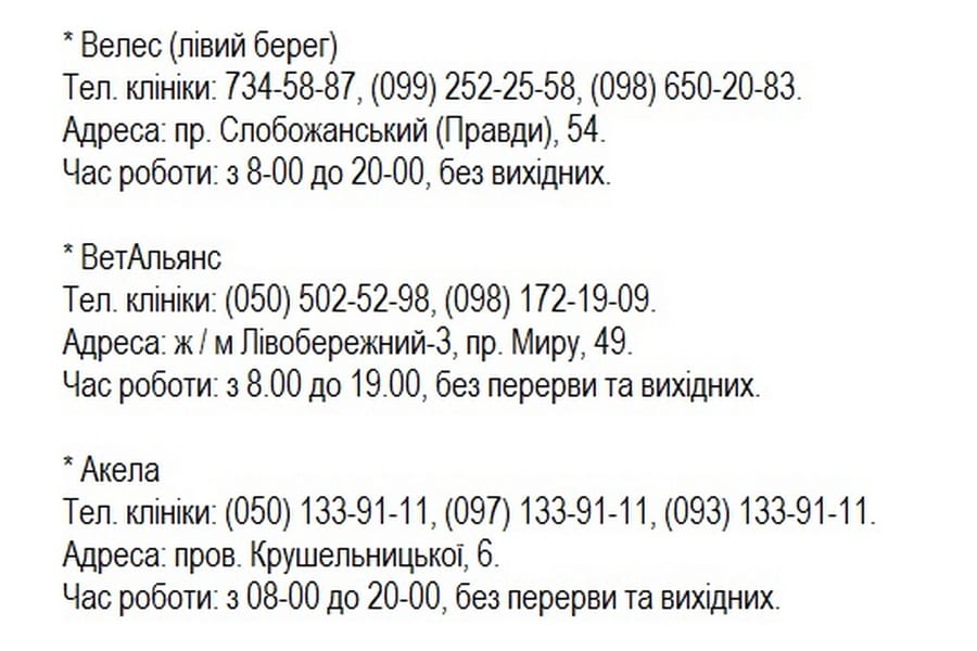 В Днепре с 1 октября началась акция по стерилизации домашних животных. Новости Днепра