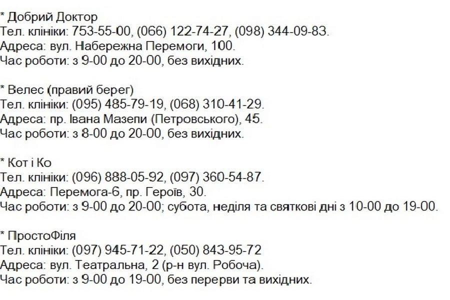 В Днепре с 1 октября началась акция по стерилизации домашних животных. Новости Днепра