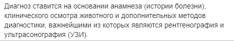 В Днепре щенок, играя с хозяйкой, съел ее сережку и едва не умер. Новости Днепра