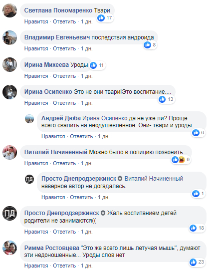 Под Днепром подростки выбрасывали с 9 этажа рыжих вечерниц (Фото). Новости Днепра