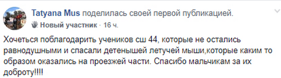 Под Днепром двое мальчишек спасли от неминуемой смерти рыжих вечерниц (Фото). Новости Днепра