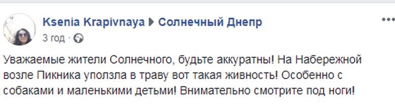 В Днепре на Солнечном змея не на шутку напугала прохожих своим появлением (Фото). Новости Днепра