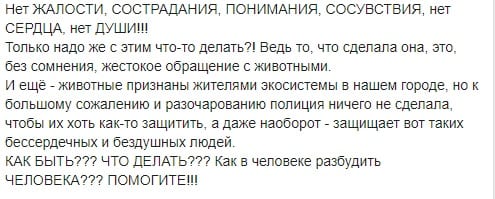 В Днепре на ж/м Парус живьем замуровали котов. Новости Днепра