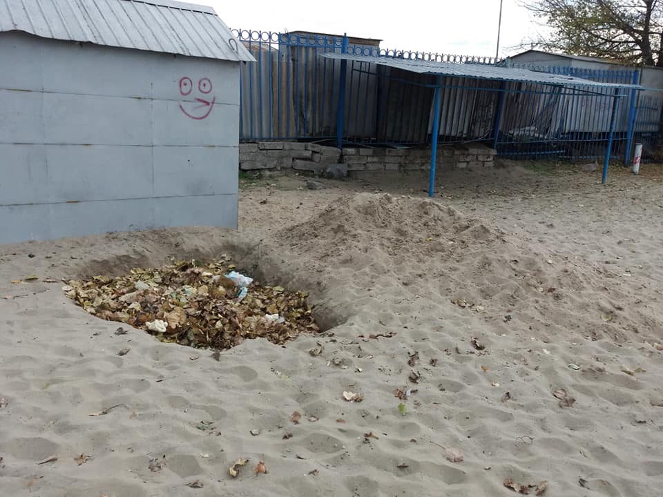 Под Днепром придумали альтернативный способ утилизации листьев (Фото). Новости Днепра