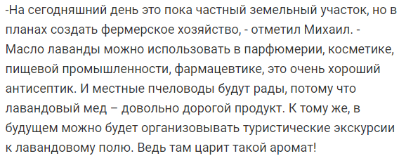 В Днепропетровской области появится роскошное лавандовое поле (Фото). Новости Днепра