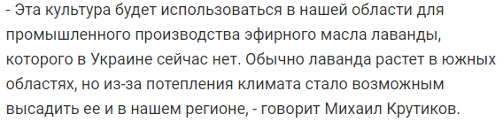 В Днепропетровской области появится роскошное лавандовое поле (Фото). Новости Днепра