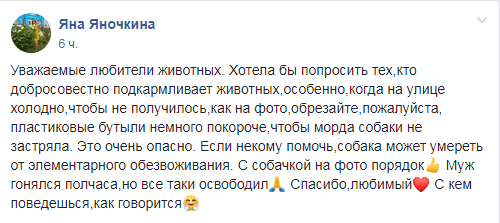 В Каменском пластиковая бутылка чуть не убила пса. Новости Днепра