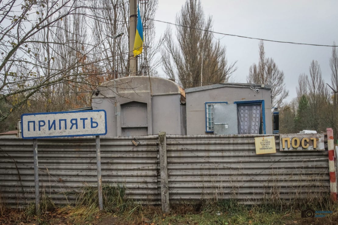 Умер пушистый символ Чернобыля: подробности. Новости Днепра
