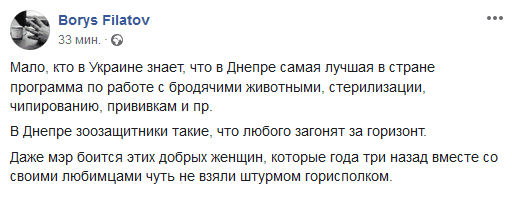 Филатов сообщил о возврате бродячих собак в Днепр. Новости Днепра