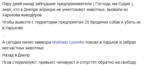 Филатов сообщил о возврате бродячих собак в Днепр. Новости Днепра