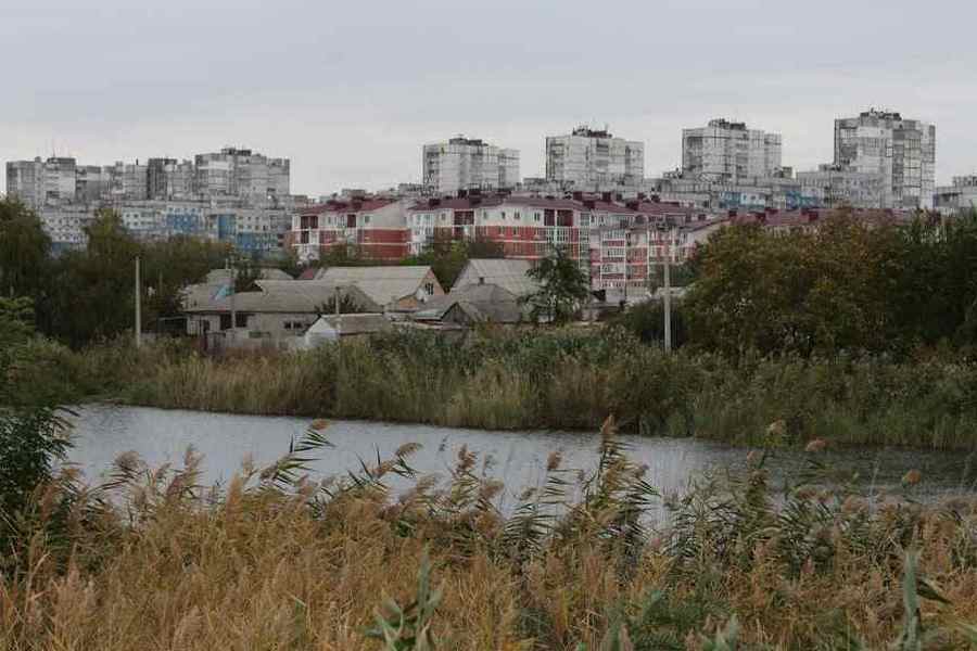 Жуткая вонь и молочно-белая вода: что происходит на Курячем озере в Днепре. Новости Днепра