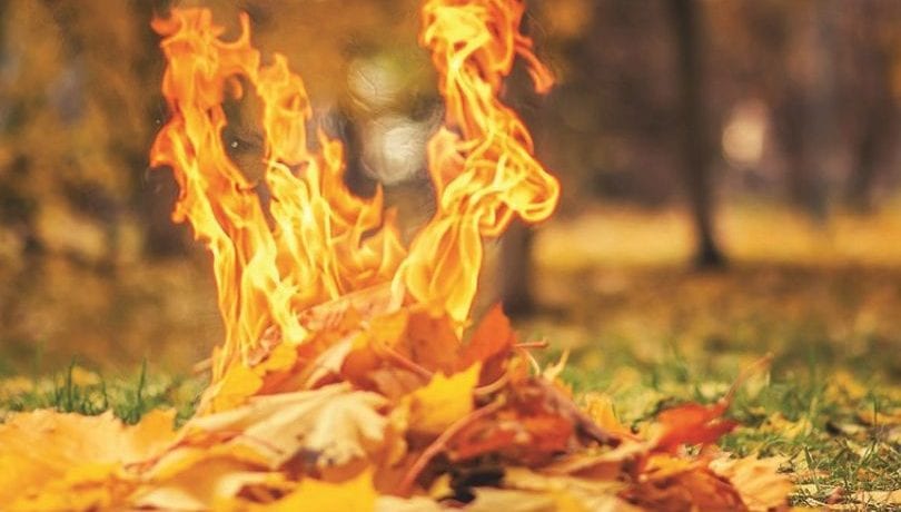 В Днепре поджигатели листьев отравляют беременных. Новости Днепра