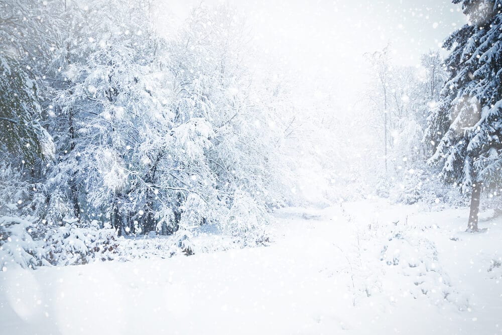Метели и сильный мокрый снег с гололедом завтра в Украине