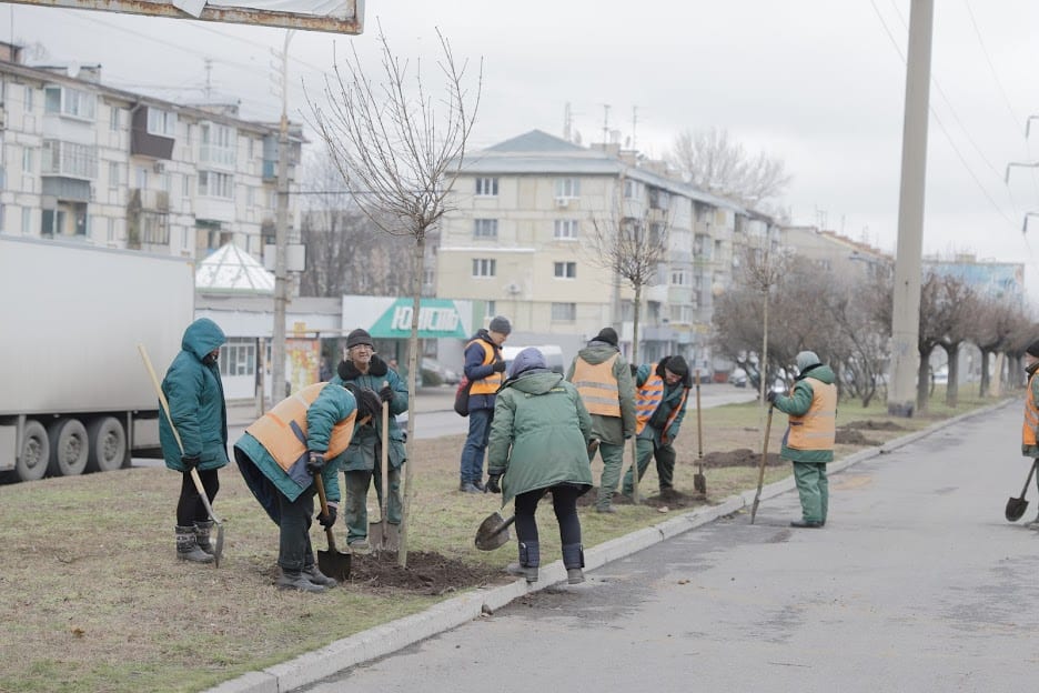 В Днепре высадят более 200 молодых деревьев. Новости Днепра