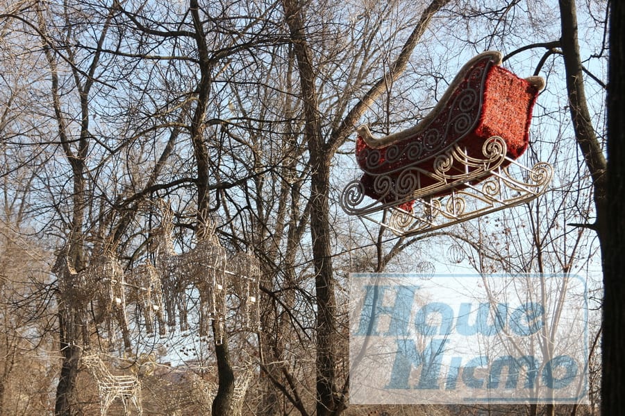 В Днепре в сквере Героев появились сани на дереве. Новости Днепра