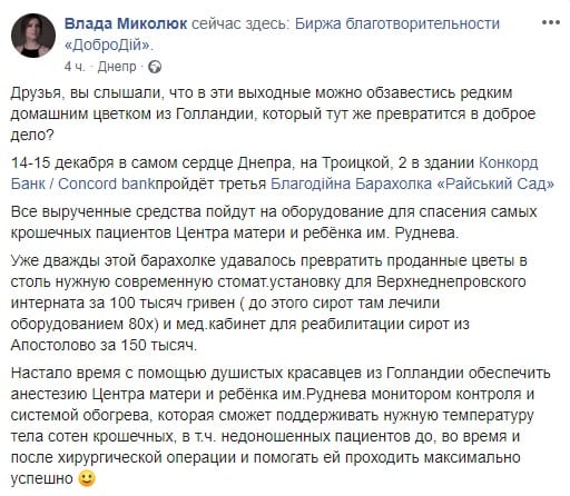 В Днепре продадут орхидеи по смешным ценам. Новости Днепра