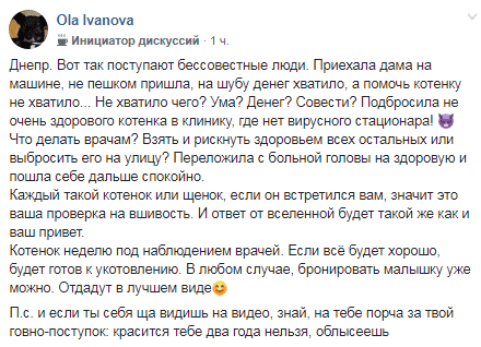 В Днепре девушка подбросила в ветклинику заразного котенка. Новости Днепра