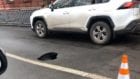 роисшествие Днепр: на ул. Гоголя провалился асфальт