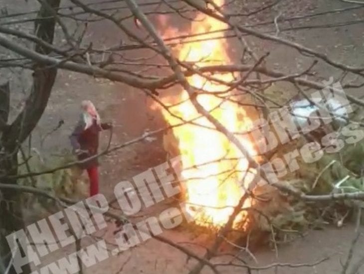 В Днепре девушка подожгла елки во дворе (Видео). Новости Днепра