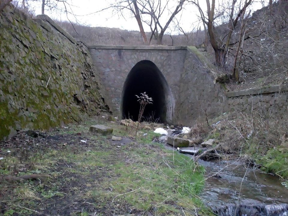 Чем удивляет загадочная балка в Диевке (Фото). Новости Днепра