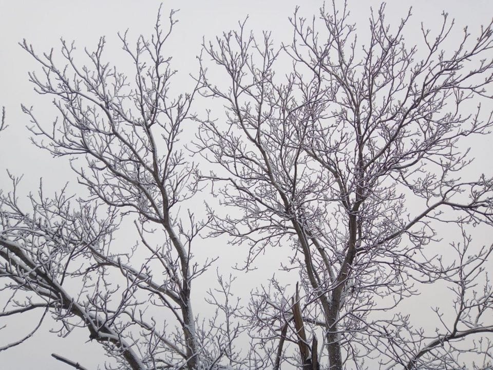 Навалило кучу снега: в Запорожье настоящая зима (Фото)
