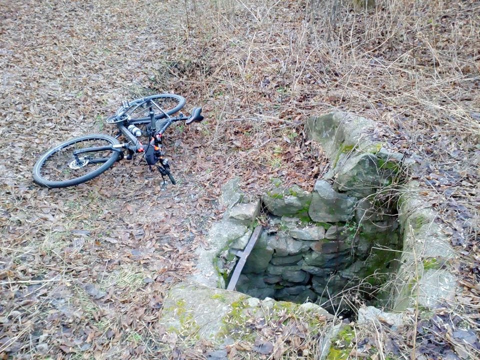 Чем удивляет загадочная балка в Диевке (Фото). Новости Днепра