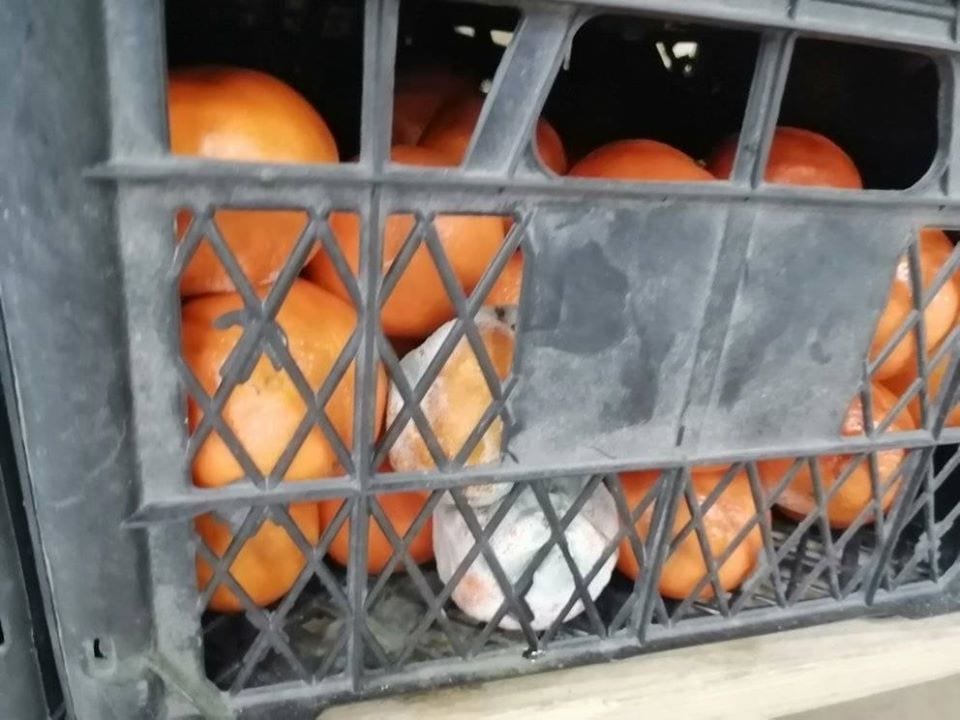 Гнилы и покрытые плесенью: в Днепре в Варусе продают несъедобные мандарины