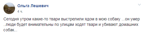 В Днепре догхантеры выстреливают домашних собак. Новости Днепра