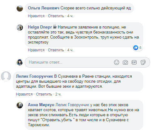 В Днепре догхантеры выстреливают домашних собак. Новости Днепра